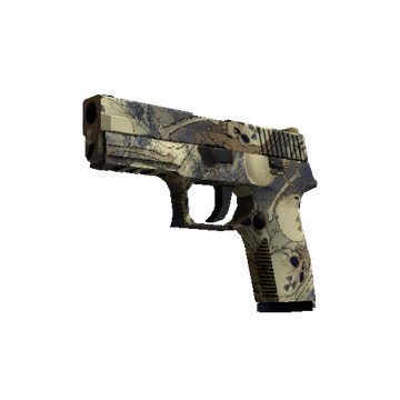 P250 | Contamination